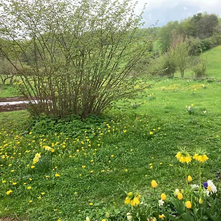 شقة Forsthaus In Waldhessen Bauhaus