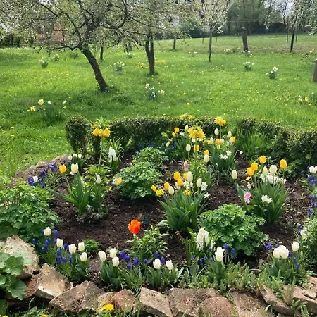 Forsthaus In Waldhessen Lägenhet