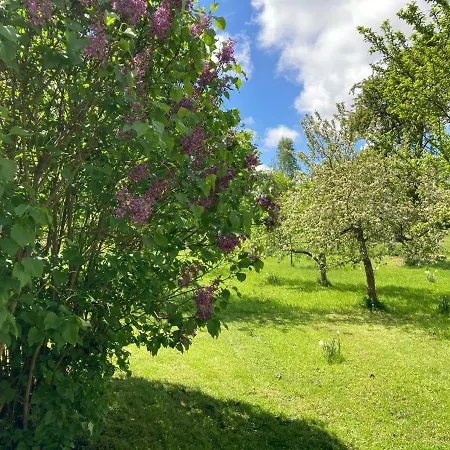 Forsthaus In Waldhessen Bauhaus