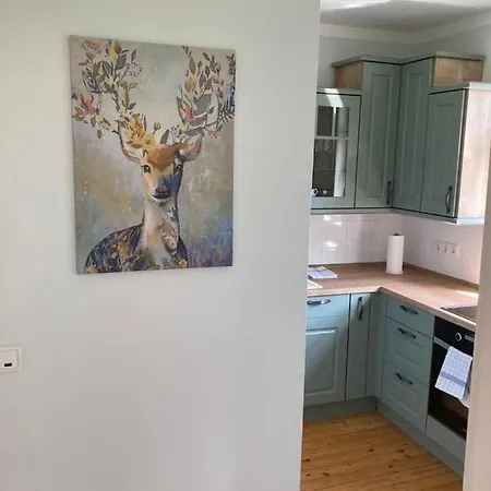 Forsthaus In Waldhessen Bauhaus