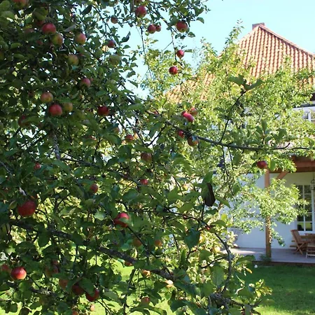 Apartman Forsthaus In Waldhessen *
