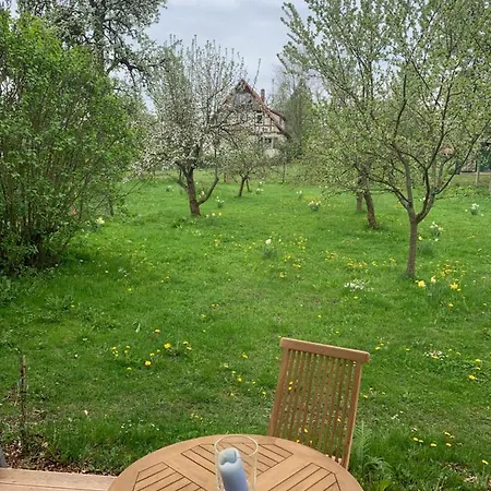 Forsthaus In Waldhessen