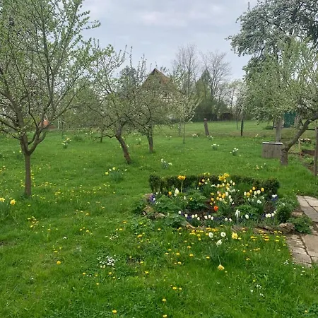 Forsthaus In Waldhessen * Bauhaus