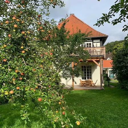 Forsthaus In Waldhessen Bauhaus