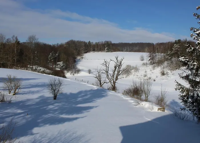 Lejlighed Forsthaus In Waldhessen Bauhaus