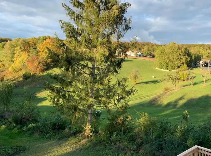 Forsthaus In Waldhessen *