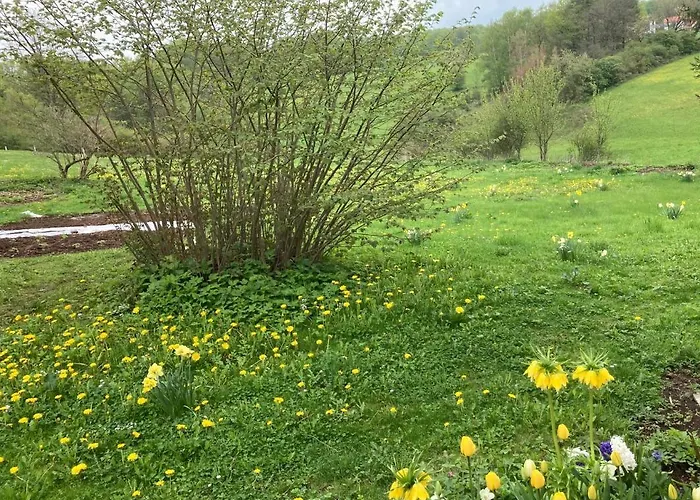 Daire Forsthaus In Waldhessen Bauhaus