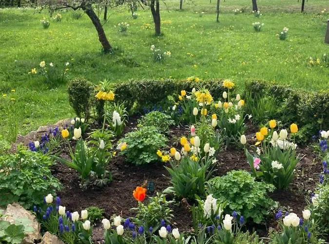 Forsthaus In Waldhessen Lejlighed