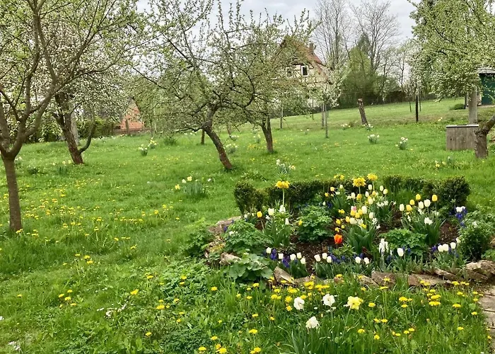 Forsthaus In Waldhessen Daire