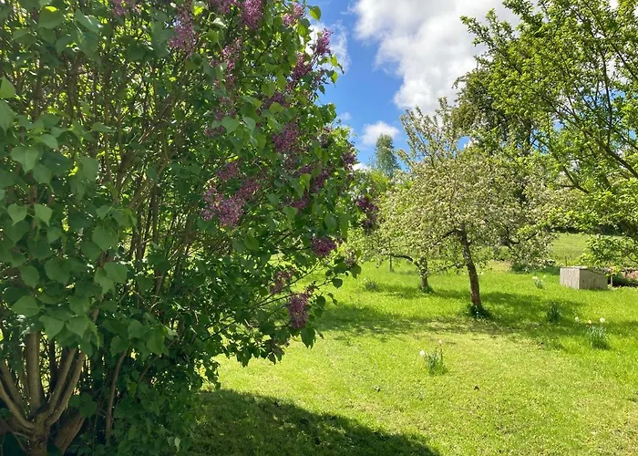 Forsthaus In Waldhessen Bauhaus