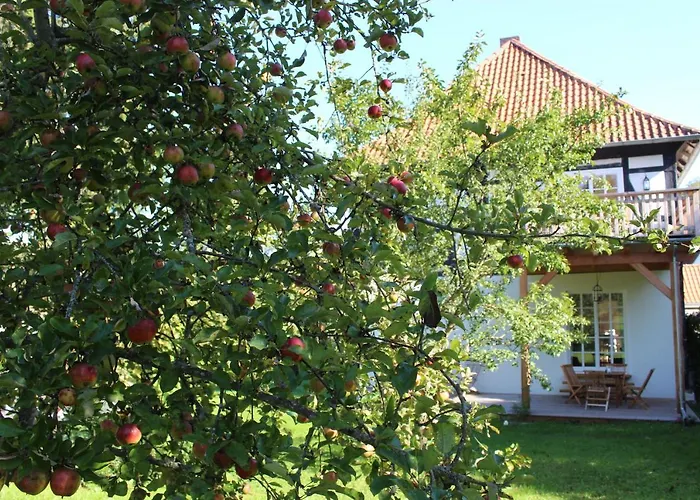 Daire Forsthaus In Waldhessen *