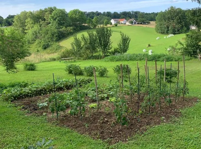 Forsthaus In Waldhessen Daire