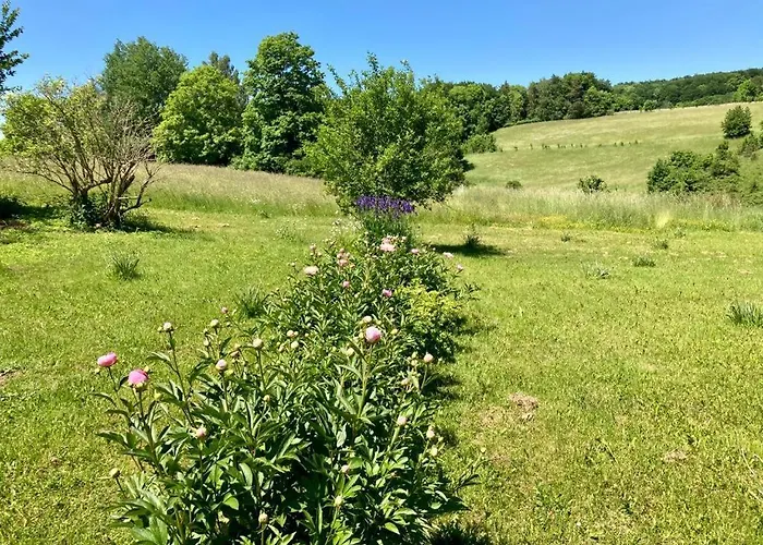 Daire Forsthaus In Waldhessen *