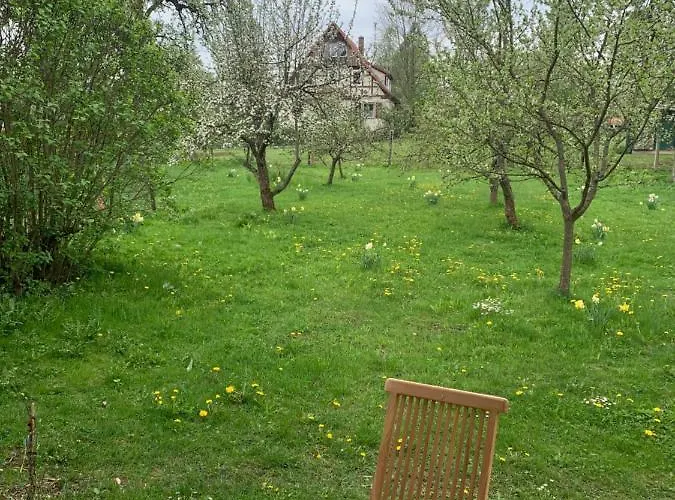 Forsthaus In Waldhessen