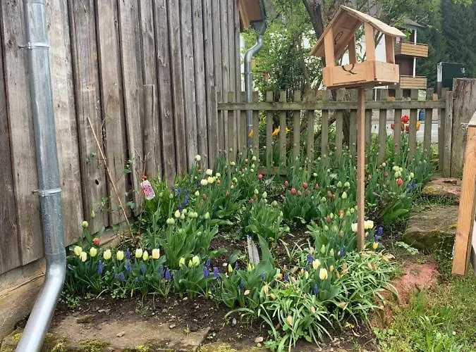 Forsthaus In Waldhessen Daire *