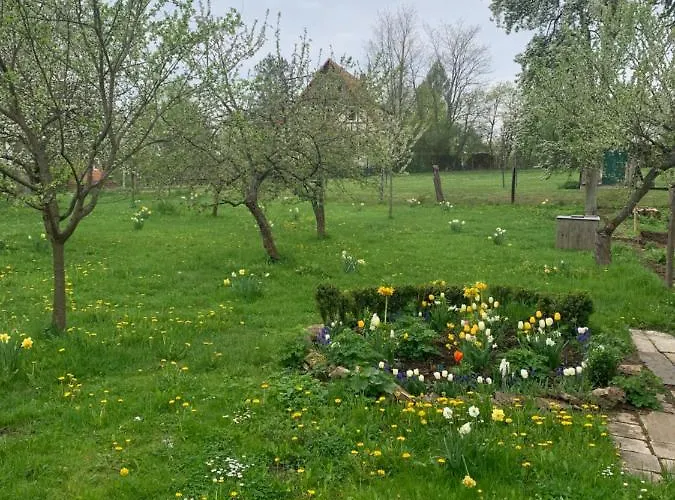 Forsthaus In Waldhessen * Bauhaus