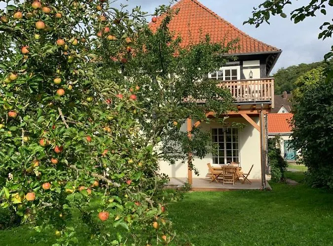 Forsthaus In Waldhessen Bauhaus